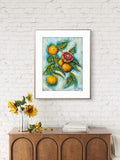 Framed Luna Burlo artwork of fruits and leaves on a white brick wall above a wooden console table with decorative items.